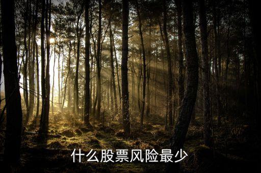 抄股什么樣的公司風(fēng)險小，什么股票風(fēng)險最少