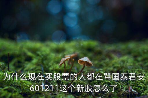 為什么現(xiàn)在買股票的人都在罵國泰君安601211這個新股怎么了