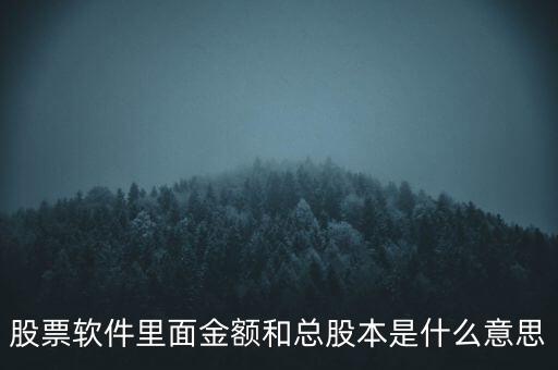 股票軟件里的金額是什么意思，股票中的金額是啥意思