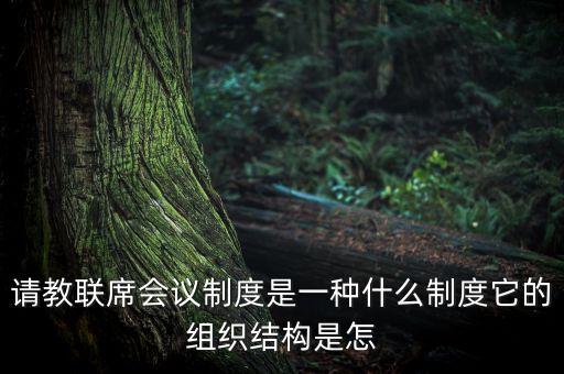 聯(lián)席ceo架構(gòu)是什么，請教聯(lián)席會議制度是一種什么制度它的組織結(jié)構(gòu)是怎