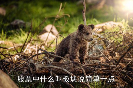 股票股票什么叫警視板，我買的股票現(xiàn)在要到風(fēng)險(xiǎn)警示板怎么交易要什么手續(xù)才可以買  搜