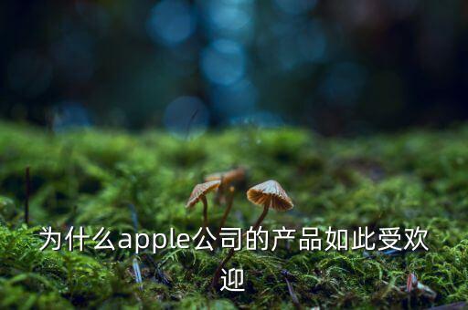 為什么蘋果公司，蘋果公司為何如此成功不需要發(fā)展史之類完全個人看法