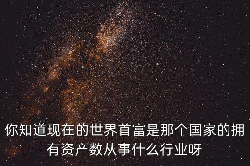 你知道現(xiàn)在的世界首富是那個國家的擁有資產(chǎn)數(shù)從事什么行業(yè)呀