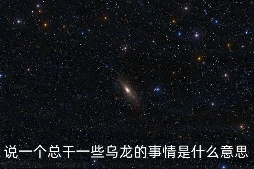 說一個總干一些烏龍的事情是什么意思