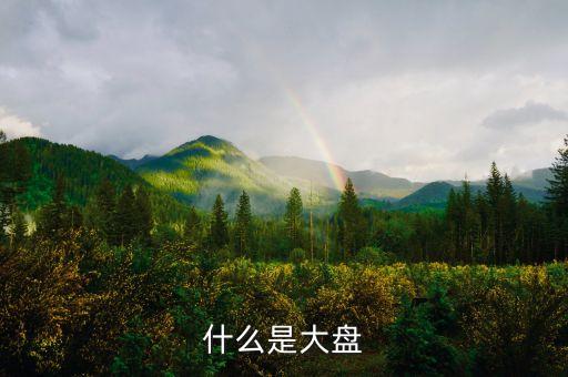 大盤驅(qū)動(dòng)機(jī)是什么，股市大盤斷路器是什么意思