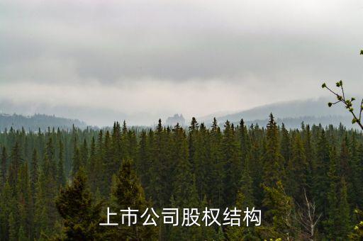 股權結構填什么，上市公司股權結構