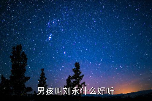 男孩叫劉永什么好聽