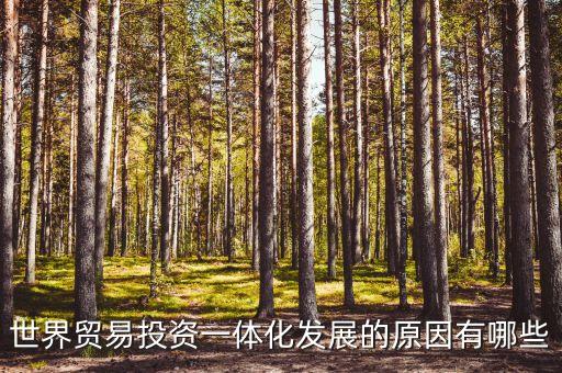 什么是貿(mào)易投資一體化，世界貿(mào)易投資一體化發(fā)展的原因有哪些