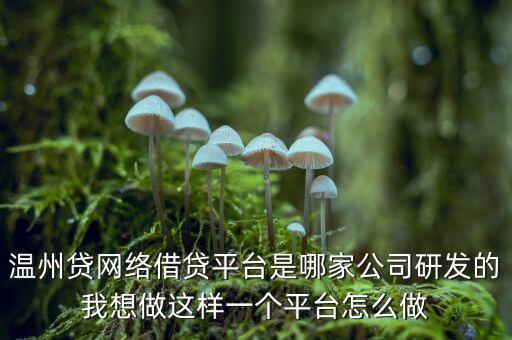 溫州貸網(wǎng)絡(luò)借貸平臺(tái)是哪家公司研發(fā)的我想做這樣一個(gè)平臺(tái)怎么做