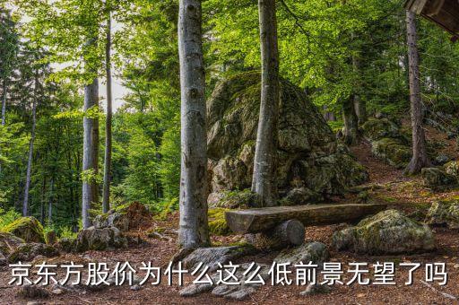 京東方股價為什么這么便宜，京東方股價為什么這么低前景無望了嗎