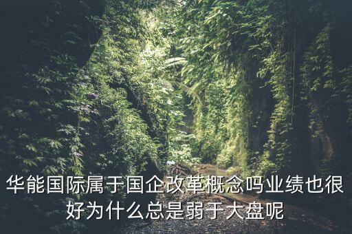 華能國(guó)際屬于國(guó)企改革概念嗎業(yè)績(jī)也很好為什么總是弱于大盤呢