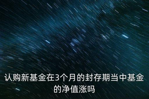 基金追加認(rèn)購(gòu)凈值有什么變化，基金募集期內(nèi)基金凈值有變化嗎