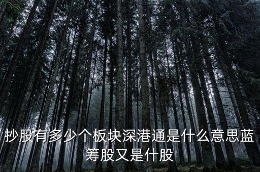 抄股有多少個(gè)板塊深港通是什么意思藍(lán)籌股又是什股