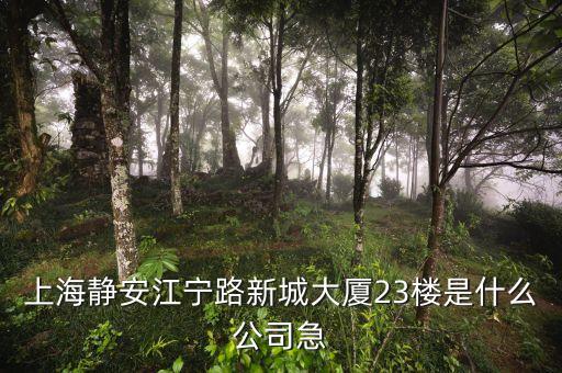 上海眾城大廈第23層是什么，上海浦東新區(qū)東方路818號(hào)眾城大廈1604室是什么公司啊