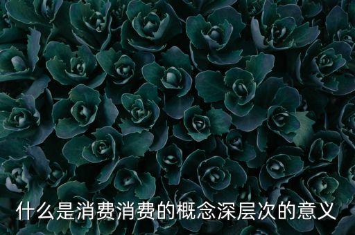消費產(chǎn)生什么，運用有關(guān)消費的經(jīng)濟學(xué)知識說明市場經(jīng)濟怎樣影響人民的消費消費什
