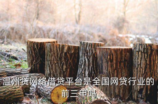 什么是溫州貸，溫州貸網(wǎng)絡(luò)借貸平臺是哪家公司研發(fā)的我想做這樣一個平臺怎么做