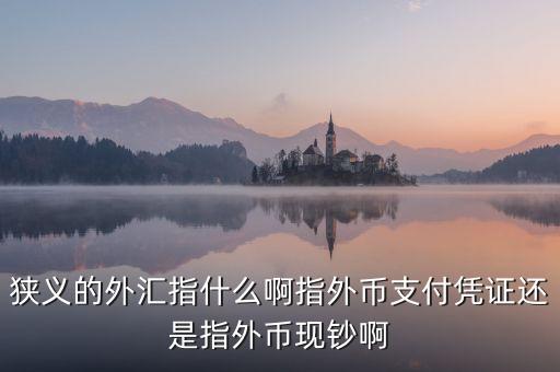 狹義的外匯包括什么，狹義的外匯指什么啊指外幣支付憑證還是指外幣現鈔啊