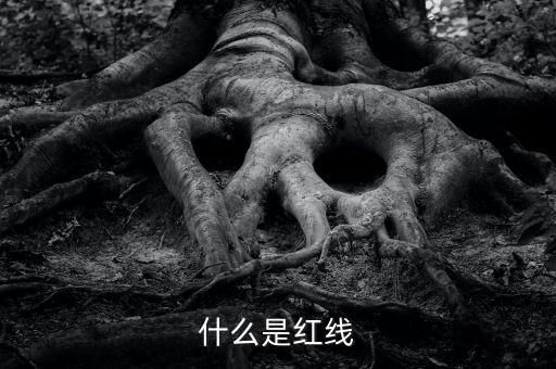 什么是赤字紅線，什么是紅線