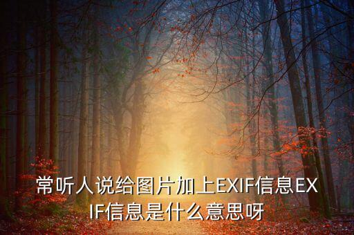 常聽(tīng)人說(shuō)給圖片加上EXIF信息EXIF信息是什么意思呀