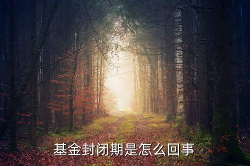 封閉式基金為什么要封閉，為什么認購基金要封閉期封閉期是3個月內(nèi)不得提現(xiàn)