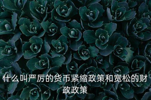 什么叫嚴厲的貨幣緊縮政策和寬松的財政政策
