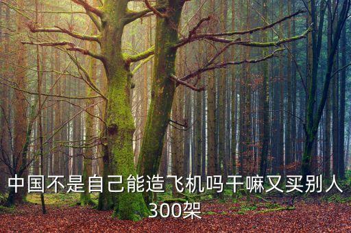 中國(guó)為什么買(mǎi)波音300架飛機(jī)，中國(guó)為什么買(mǎi)300架飛機(jī)自已不有c919嗎