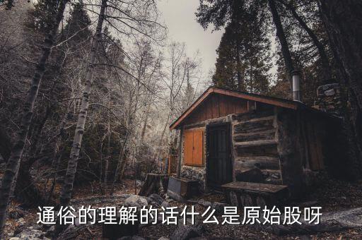 股票原始股是什么意思，什么是原始股
