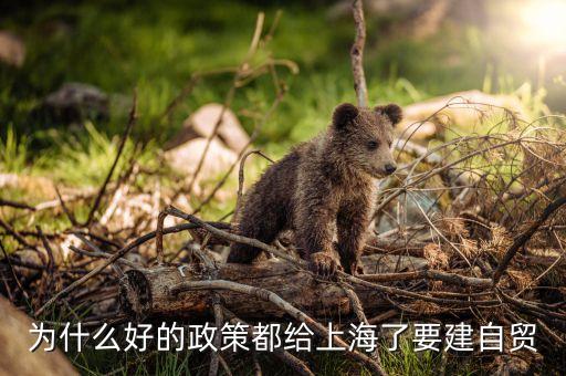 為什么要建立上海自貿(mào)區(qū)，上海自貿(mào)區(qū)成立的目的