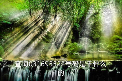 查詢031695522號(hào)碼是干什么的