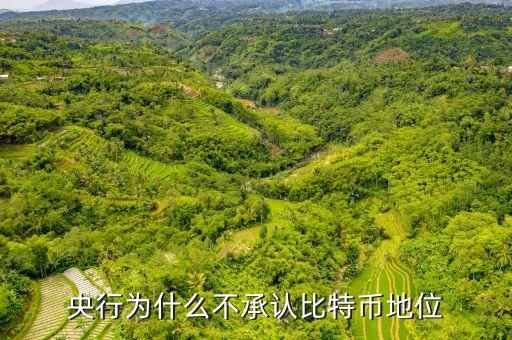 為什么中央不承認(rèn)比特，中美為什么不承認(rèn)比特幣的合法性