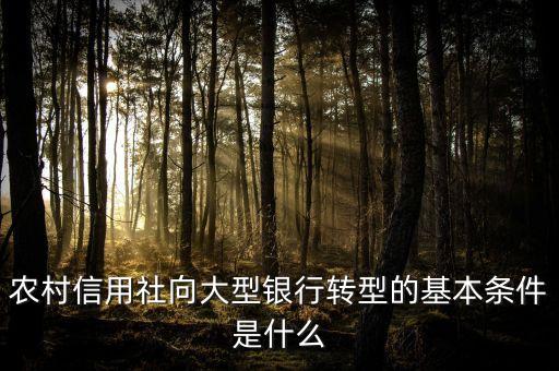 什么是銀行轉(zhuǎn)型，農(nóng)村信用社向大型銀行轉(zhuǎn)型的基本條件是什么