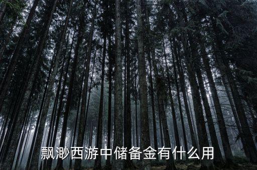 飄渺西游中儲備金有什么用