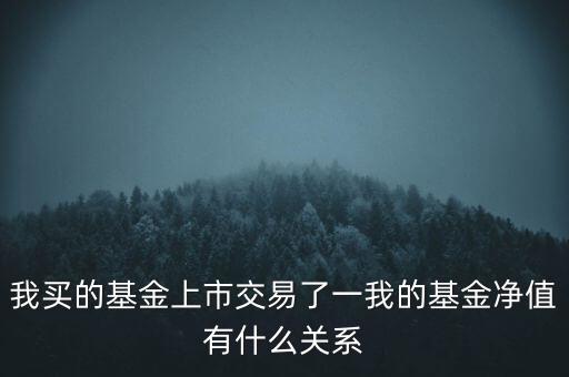 只上市交易的進(jìn)取基金問什么還有凈值，我買的基金上市交易了一我的基金凈值有什么關(guān)系
