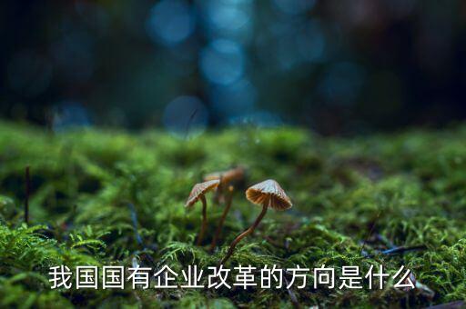 企業(yè)改革方向是什么，我國國有企業(yè)改革的方向是什么
