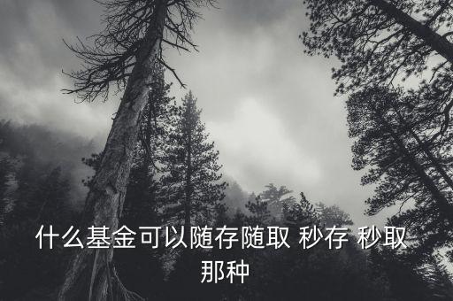 什么基金可以隨存隨取 秒存 秒取 那種