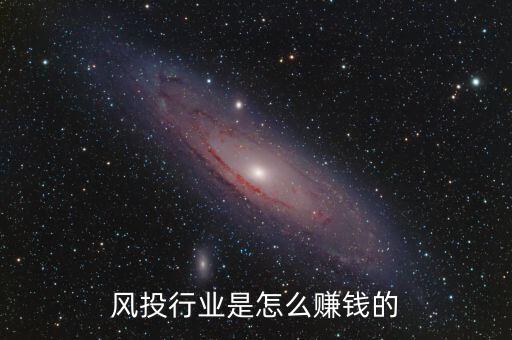 風(fēng)投行業(yè)是怎么賺錢(qián)的