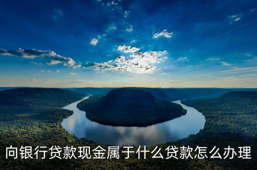 現(xiàn)金貸款是什么，向銀行貸款現(xiàn)金屬于什么貸款怎么辦理
