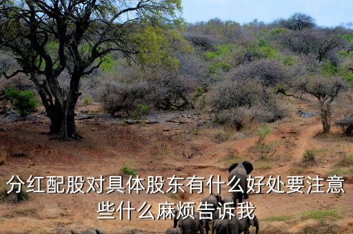 分紅配股對(duì)具體股東有什么好處要注意些什么麻煩告訴我