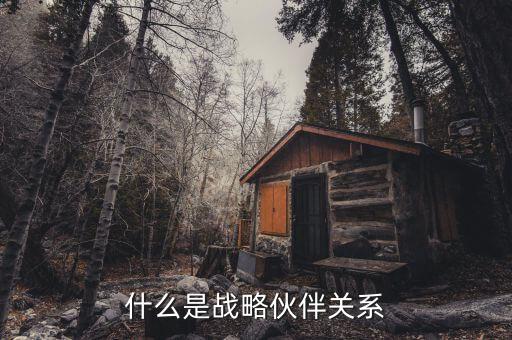 什么是戰(zhàn)略伙伴關(guān)系