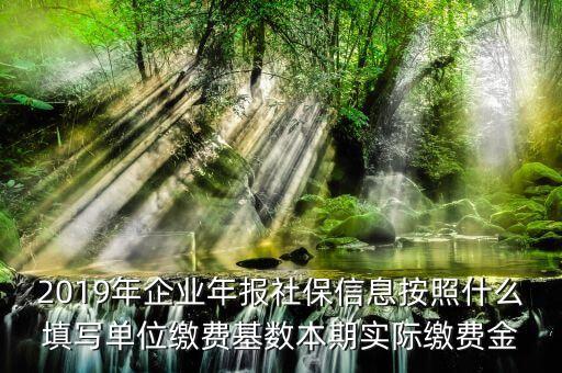 年報(bào)保險(xiǎn)費(fèi)指的是什么，2019年企業(yè)年報(bào)社保信息按照什么填寫單位繳費(fèi)基數(shù)本期實(shí)際繳費(fèi)金