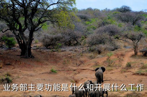 機(jī)構(gòu)業(yè)務(wù)部是做什么，業(yè)務(wù)部是什么意思
