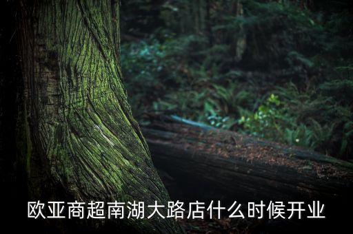 歐亞商超南湖大路店什么時候開業(yè)