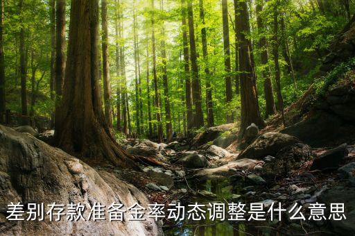 動態(tài)準備金制度是什么，什么是金準備制度