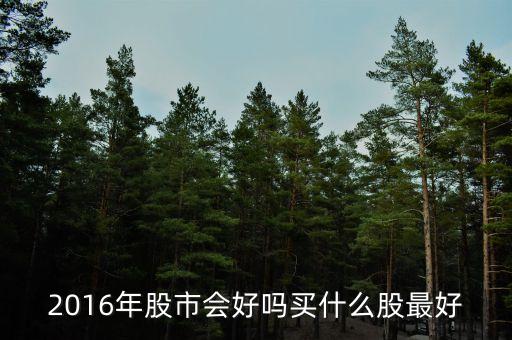 2016年什么股票最賺錢，2010年到2016年最賺錢的股票