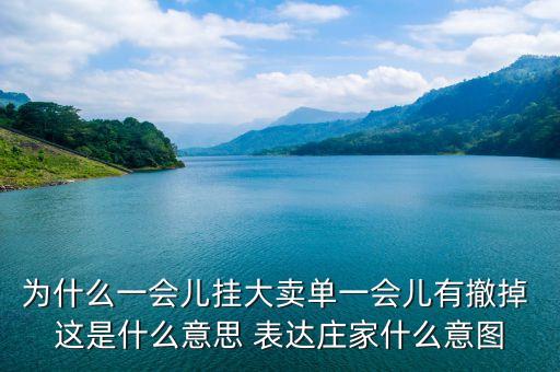 為什么一會(huì)兒掛大賣單一會(huì)兒有撤掉 這是什么意思 表達(dá)莊家什么意圖