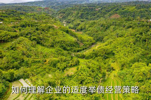 企業(yè)為什么要適度負(fù)債，為什么適當(dāng)負(fù)債更有利于發(fā)展