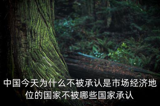 中國今天為什么不被承認(rèn)是市場(chǎng)經(jīng)濟(jì)地位的國家不被哪些國家承認(rèn)