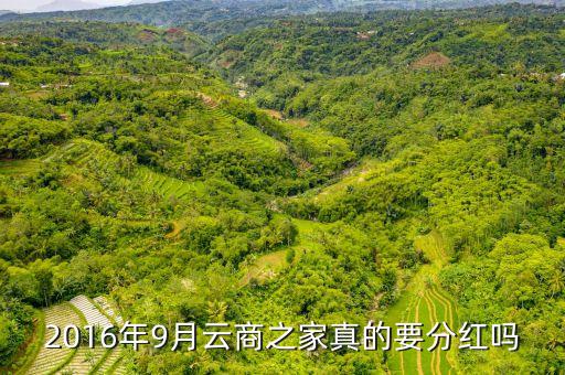 蘇寧云商什么時候分紅，2016年9月云商之家真的要分紅嗎
