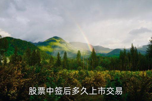 新股中簽后什么時(shí)間上市，新股申購中簽后多久可以上市