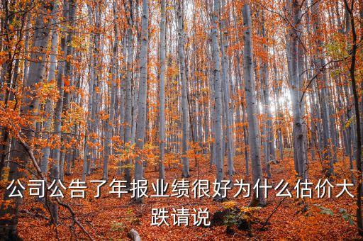 天和防務(wù)業(yè)績?yōu)槭裁创蟮?，公司公告了年報業(yè)績很好為什么估價大跌請說